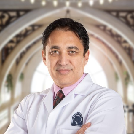 Ahmed Elrefaey (Speaker)
